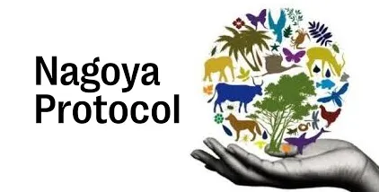 Nagoya_Protocol