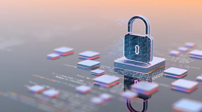 Privacy vs. Security in 2025: Understanding the Key Differences in the Digital Age privacy_and_security