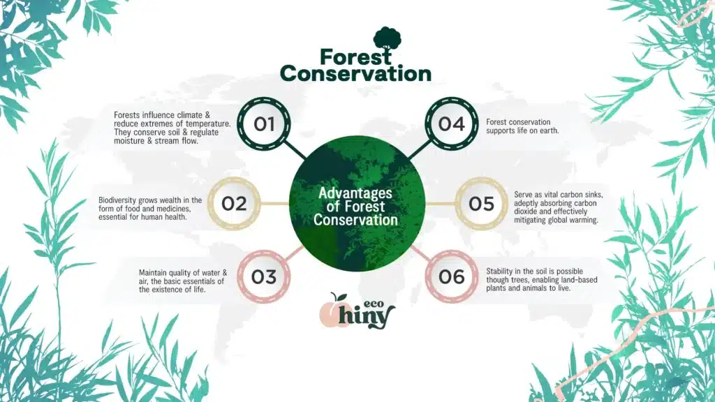 Forest_conservation
