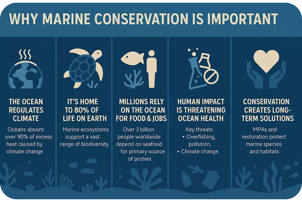 Marine_conservation
