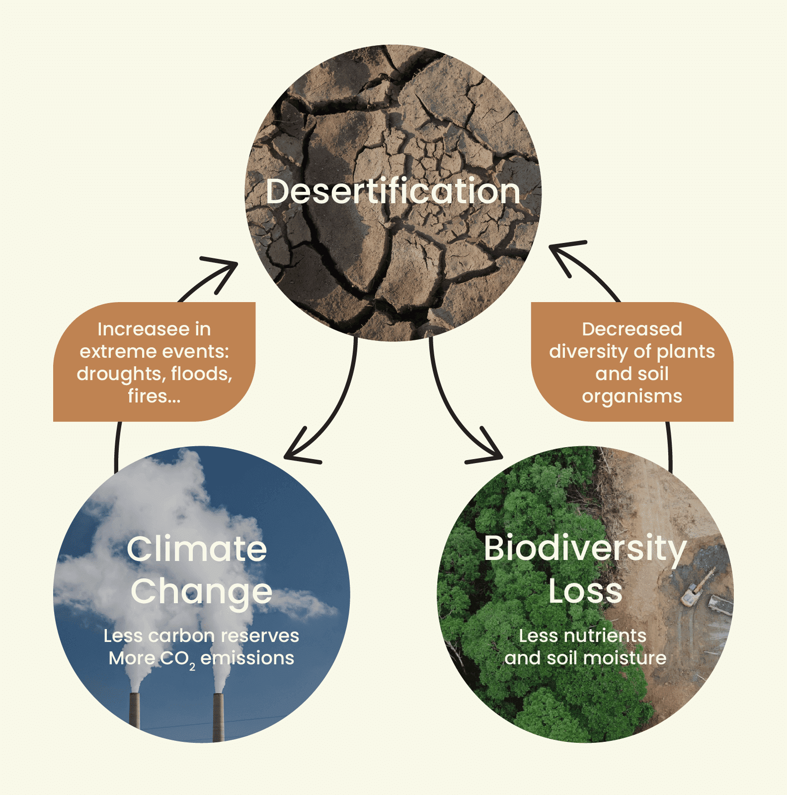 desertification_graphic